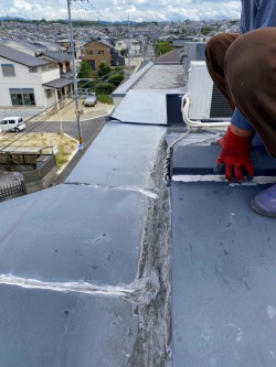 屋根修理　雨漏り
