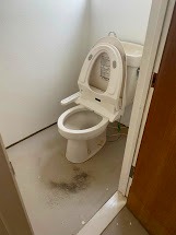 トイレ　施工前　カビ汚れ　床　クロス